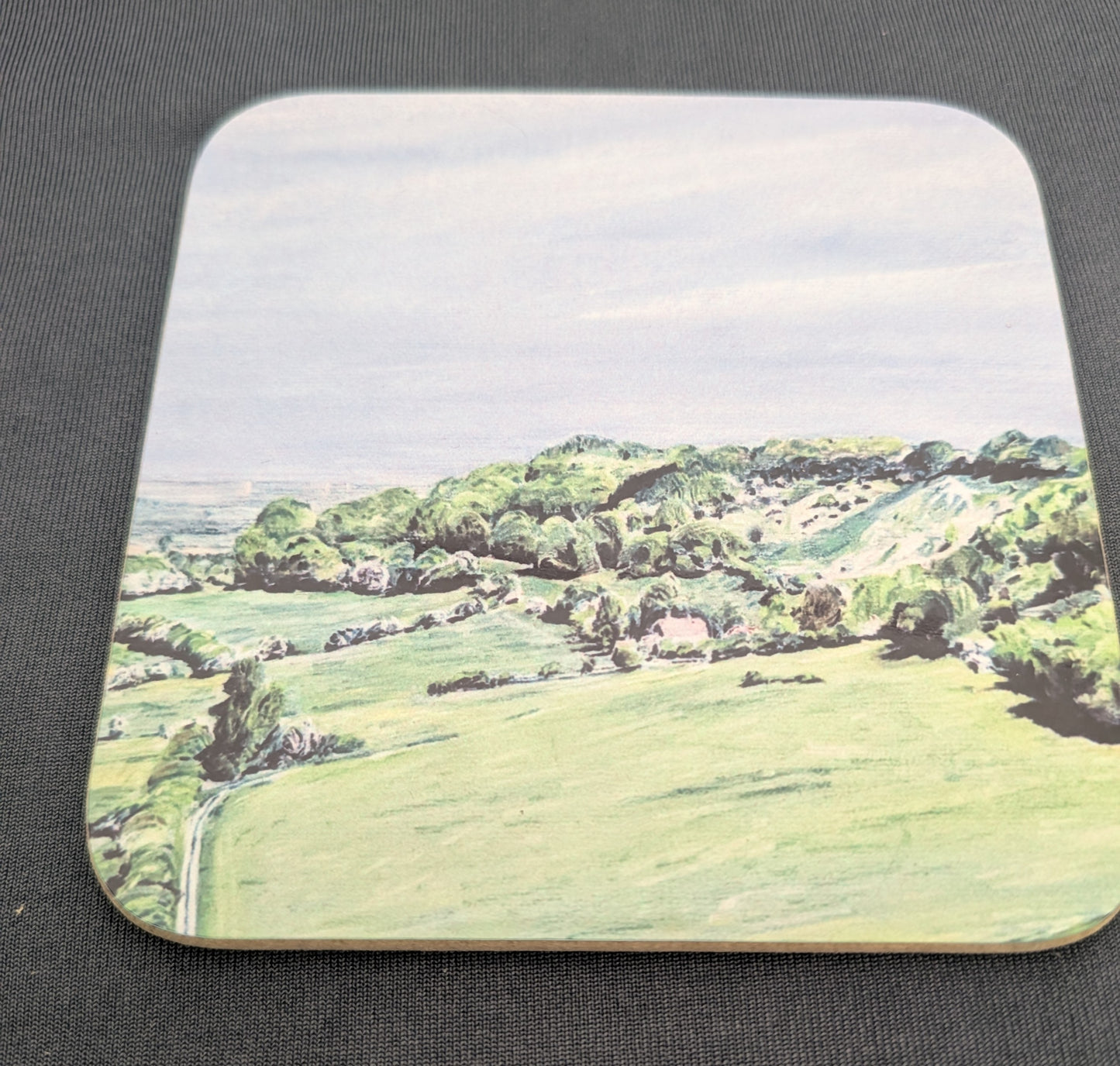 Wiltshire White horses coaster set (6 coasters and box)